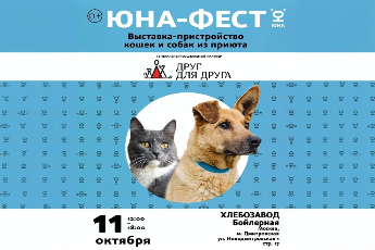 «Юна-Фест»