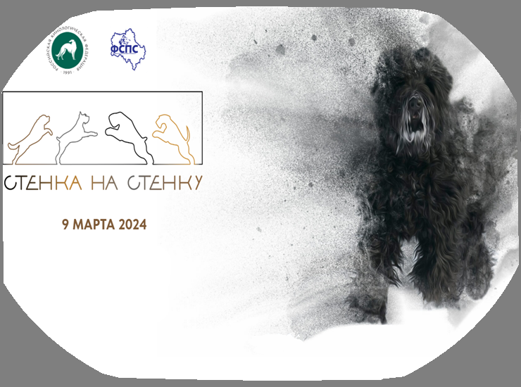 «Стенка на стенку»