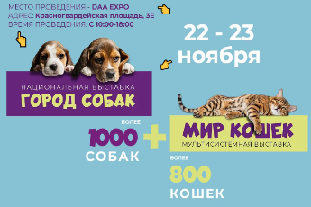 «Город собак + Мир кошек»