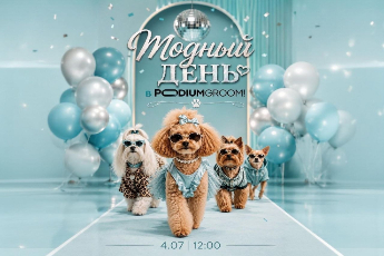 Модный день для собак в PODIUMGROOM