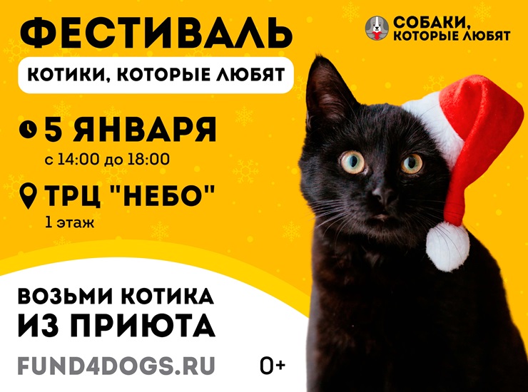 «Котики, которые любят»