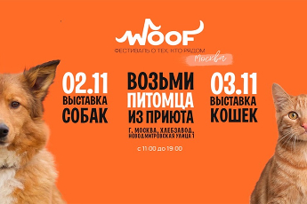 WOOF FEST в Москве