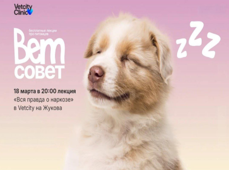 «Вся правда о наркозе»