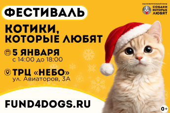 «Котики, которые любят»