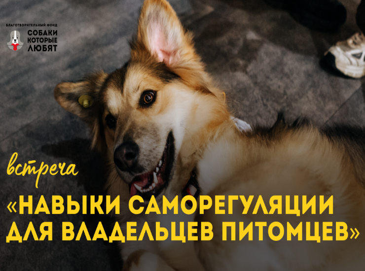 Лекция «Навыки саморегуляции для владельцев питомцев»
