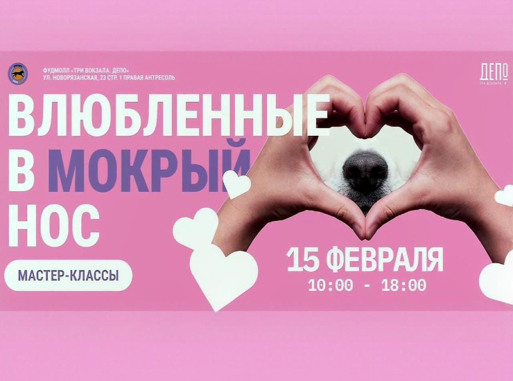 Frisky dog day | Влюбленные в мокрый нос