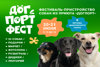 Дог Порт Фест