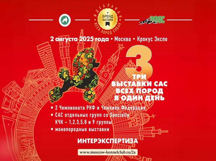 «Летний кубок Москвы»