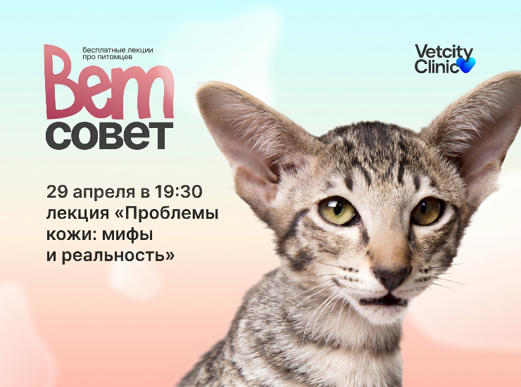 Лекция «Проблемы кожи: мифы и реальность»