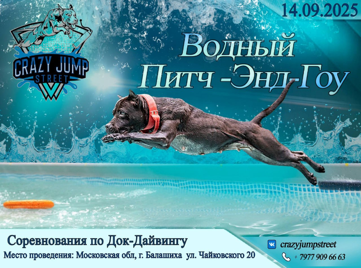 Соревнования по Док-Дайвингу