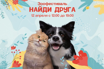 «Найди друга»