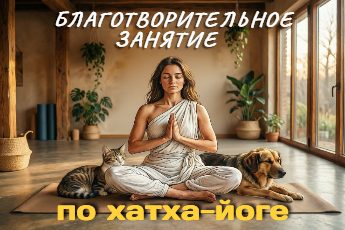 Благотворительное занятие по хатха-йоге 
