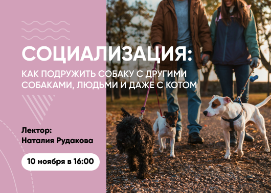 Вебинар «Социализация. Как подружить собаку с другими собаками и людьми»