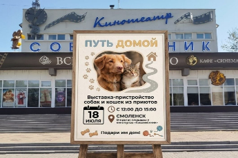 «Путь домой»