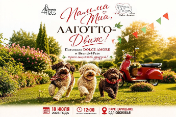 «Mamma Mia, ЛАГОТТО-Движ!»