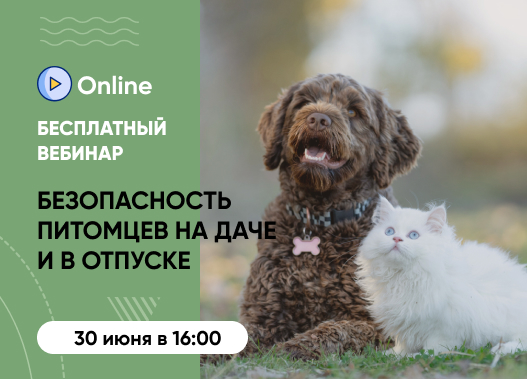«Безопасность питомцев на даче и в отпуске»