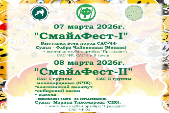 СмайлФест