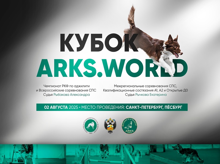 Кубок «ARKS WORLD»