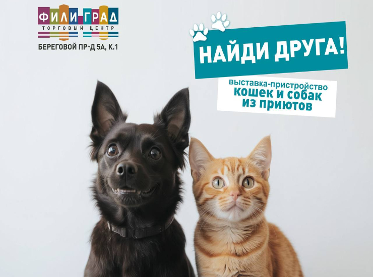 «Найди друга»