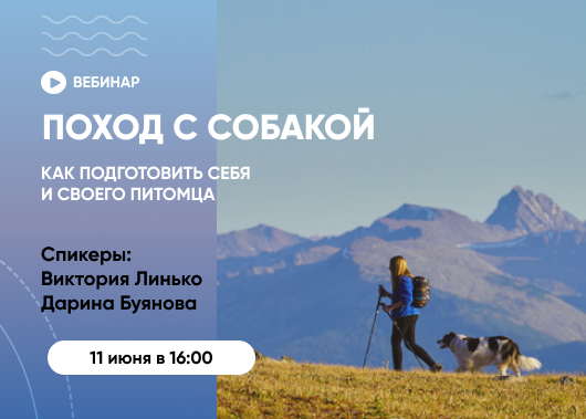 Вебинар «Поход с собакой. Как подготовить себя и своего питомца»