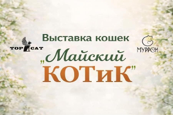 «Майский КОТиК»