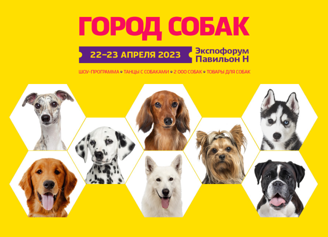 Город собак 2023 Город собак 2023