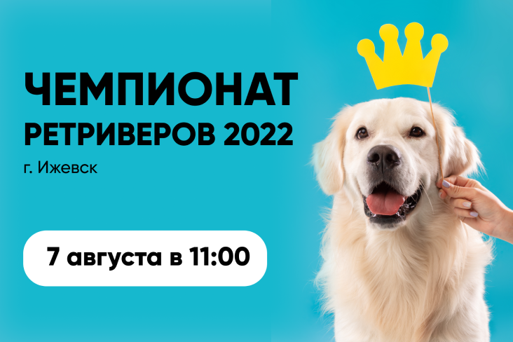 Чемпионат ретриверов 2022 Чемпионат ретриверов 2022