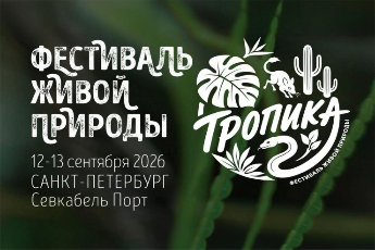 «Тропика»