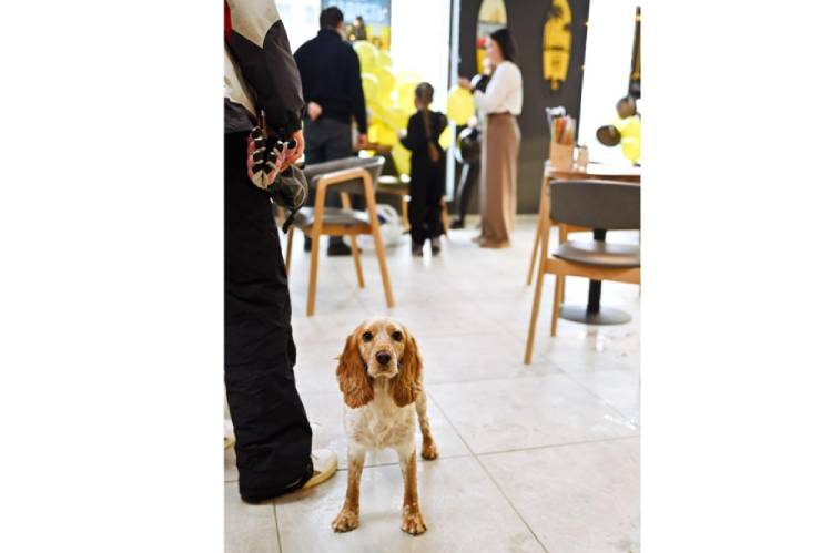 kafe-i-restorany-gde-rady-pitomtsam-dog-friendly-gid-po-moskve1.jpg