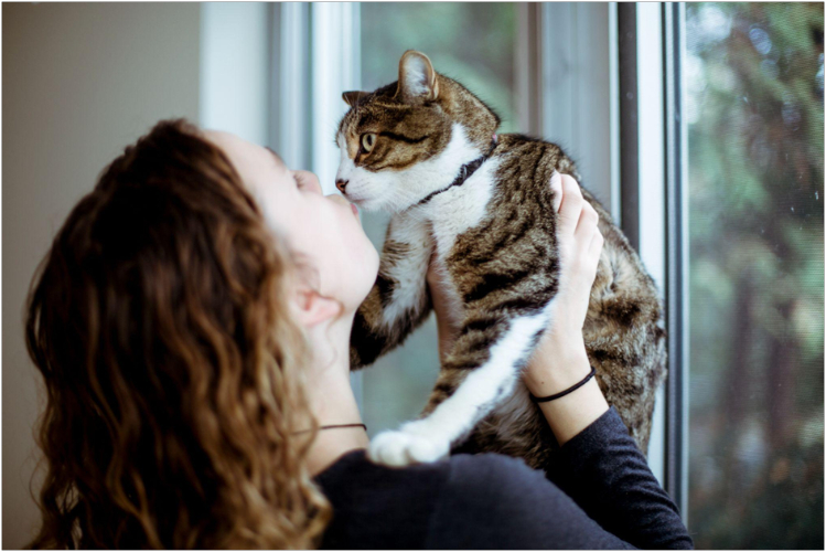 Профилактика и вакцинация kalitsiviroz-u-koshek4.jpg