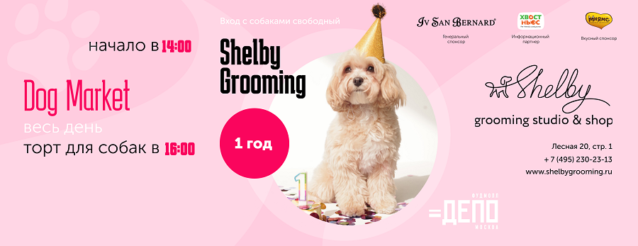 Shelby`s dog party
