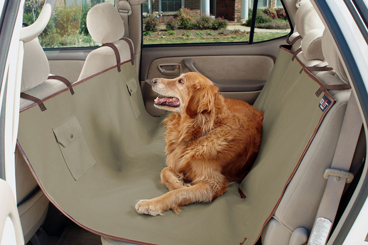 Путешествия с собакой в автомобиле