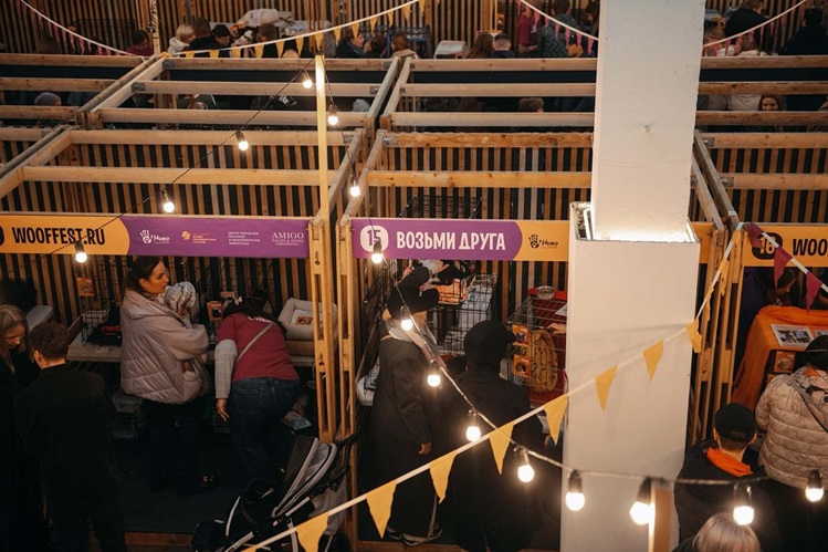 13-й благотворительный фестиваль WOOF прошел в Москве.jpg