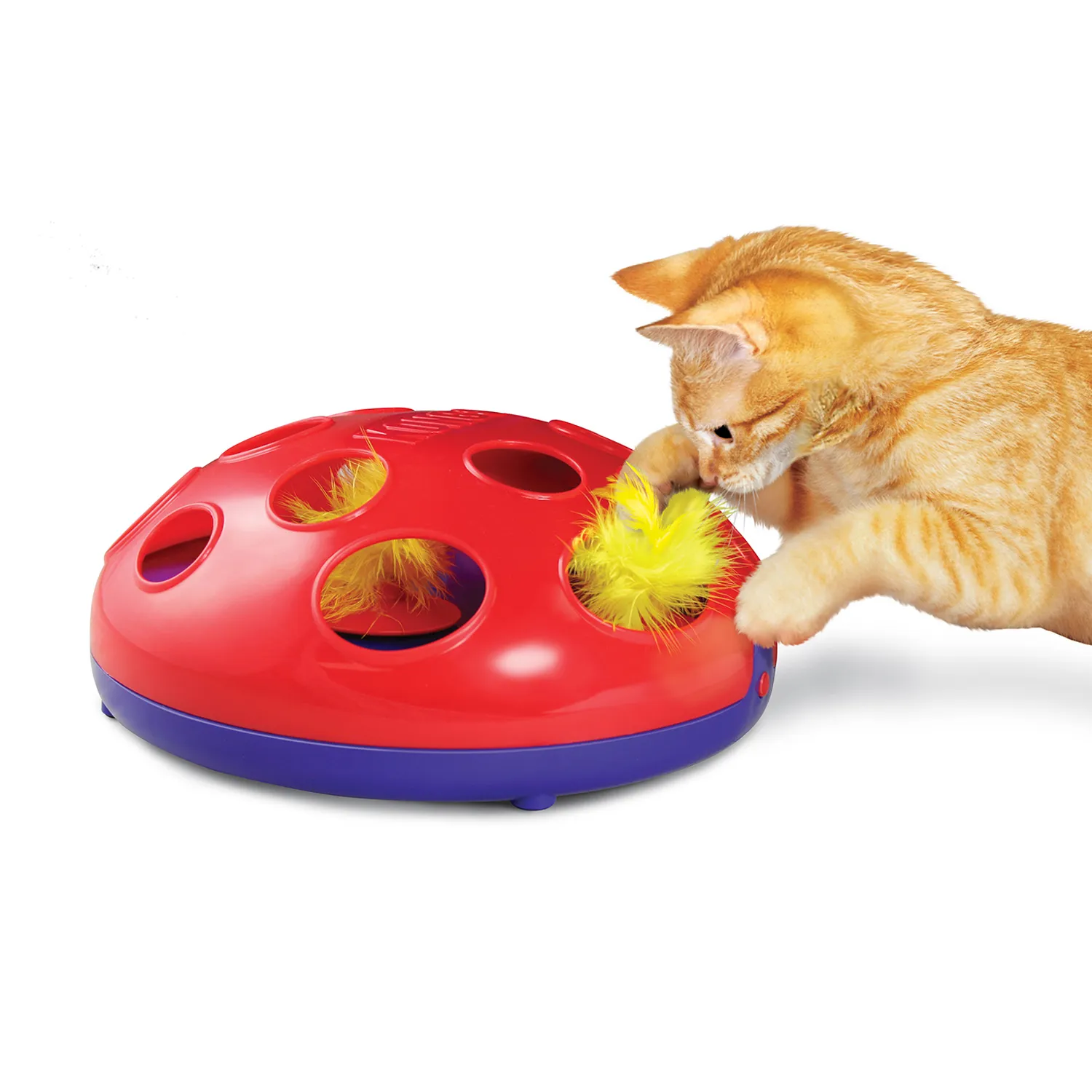 Топ-10 игрушек для кошек - Хвост Ньюс