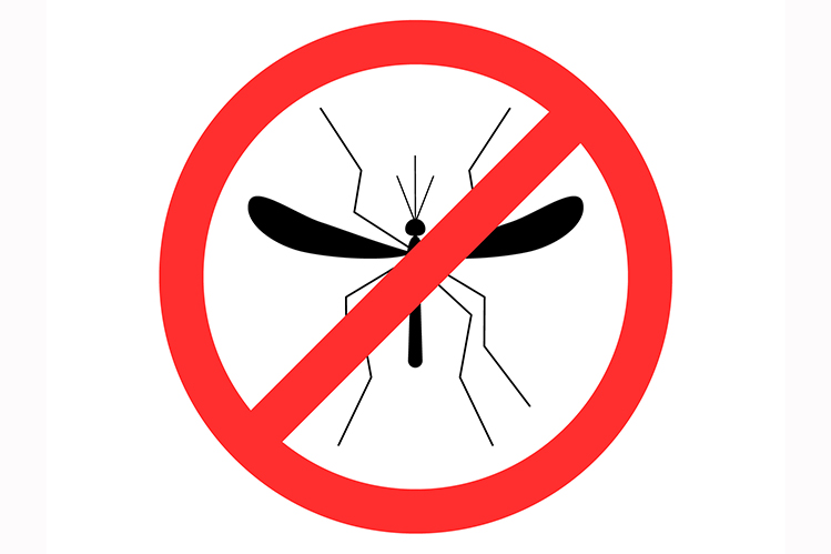 Как защитить питомца от комаров