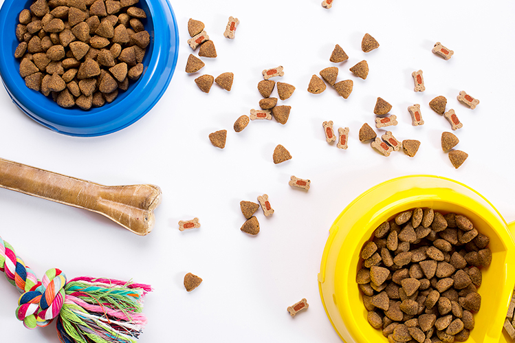 Нужны ли кошкам и собакам витамины?