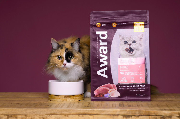 AWARD_2023_Кошка Лиза_3-fotor-20260311161825.jpg