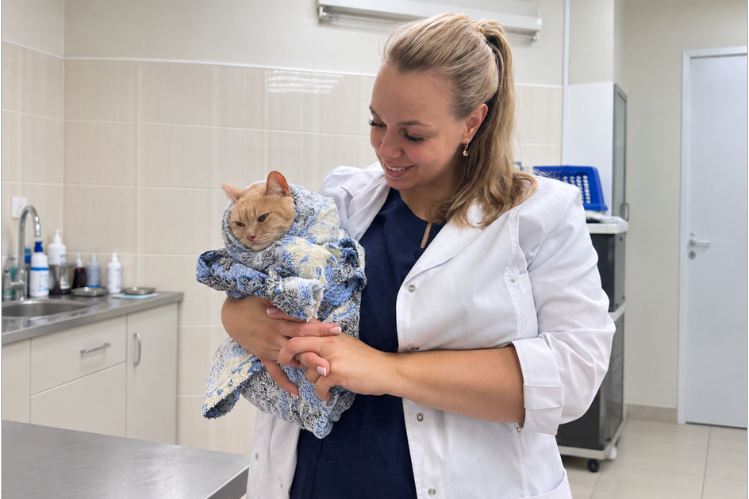 esli-ona-vstanet-ya-stanu-veterinarnym-vrachom1.jpg