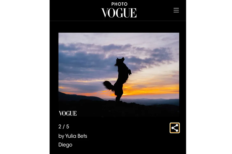 sayt-zhurnala-vogue-opublikoval-foto-sobaki-iz-krasnoyarska.png