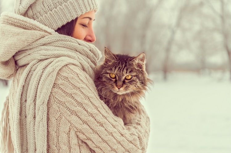 Холодно ли кошкам зимой?