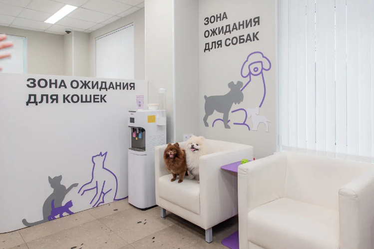 budushchee-vetklinik-edinaya-sistema-dlya-vrachey-klientov-i-rukovoditeley-na-baze-ii1-fotor-20260901215444.jpg