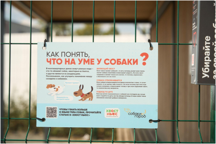 kak-upravlyayushchaya-kompaniya-pik-komfort-razvivaet-pet-friendly-kulturu1.jpg