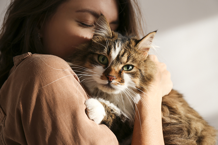 5 мифов о пастах для кошек