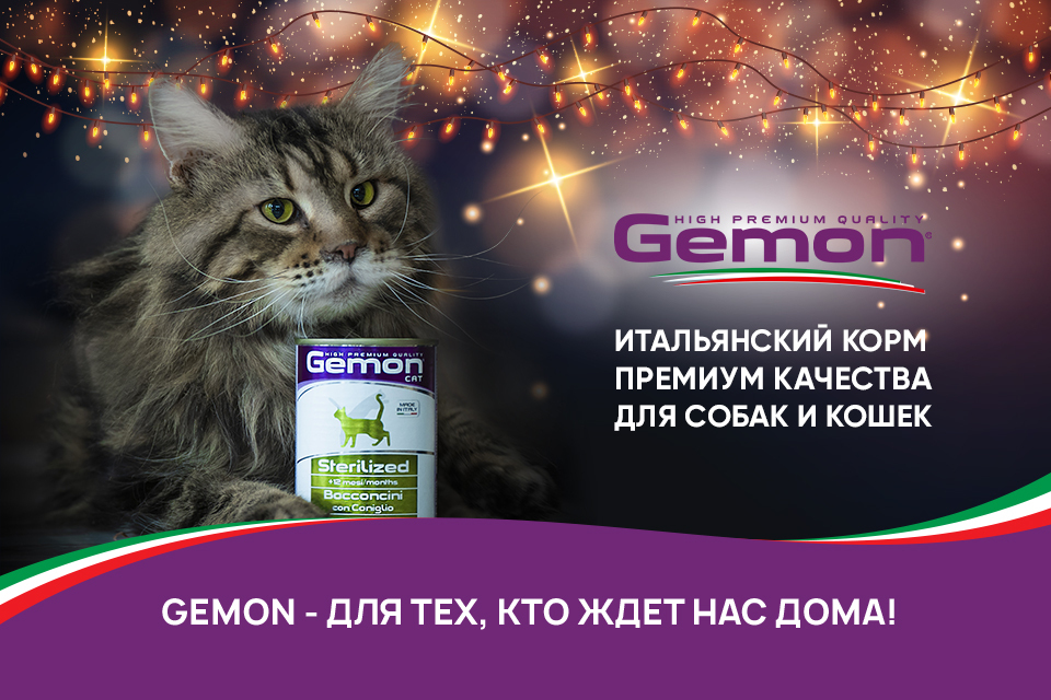 Сбалансированный корм для кошек и собак Gemon