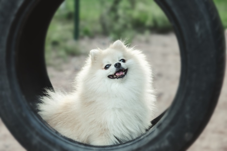 Кому подходит площадка