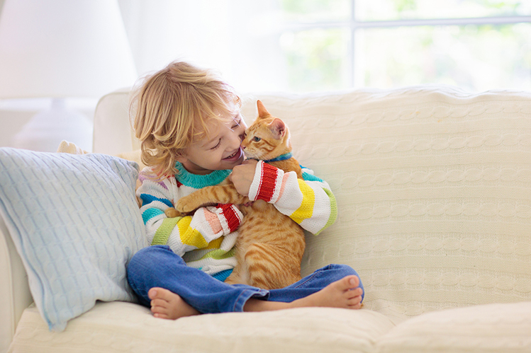 Как научить ребенка играть с кошкой?