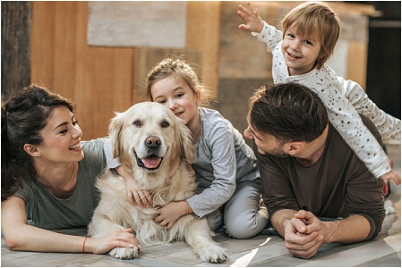 Топ-15 лучших собак для семьи
