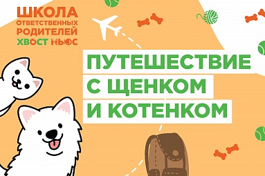 Путешествие с котенком и щенком Путешествие с котенком и щенком
