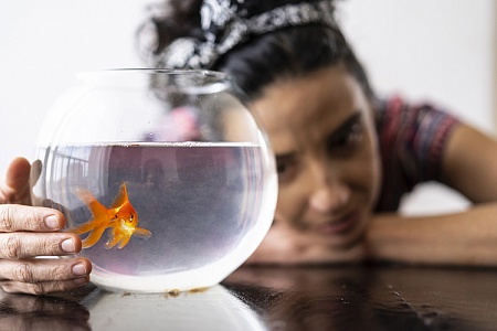 Как назвать аквариумную рыбку?