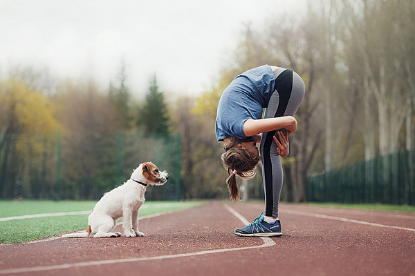 Фитнес с собакой
